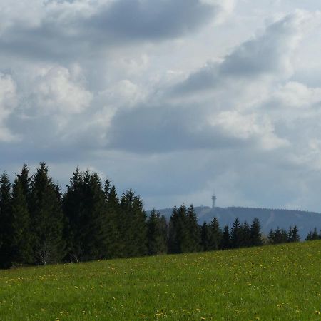 Ferienunterkuenfte Kreissl Обервиезентал Екстериор снимка